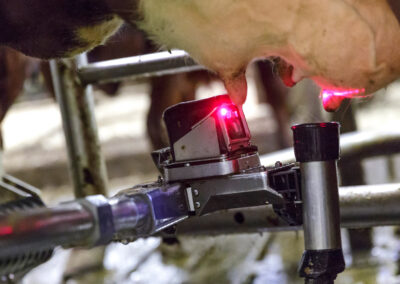 –  Me tar maten for gitt