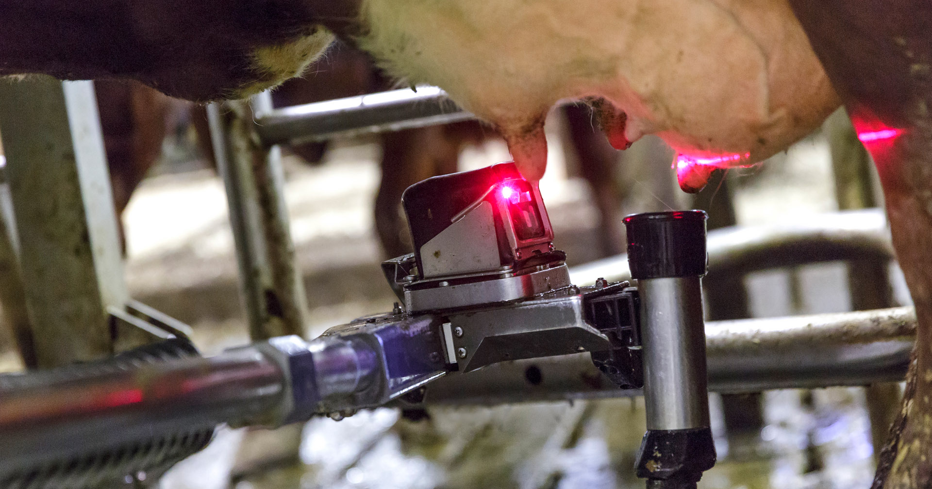 Mjølkeruta: Det meste i samfunnet avheng direkte eller indirekte av tilgang på straum. Også mjølkeproduksjonen. Politimeister Hans Vik oppmodar alle om å øva på at straumen fell vekk. Foto: Einar Engdal / Tine