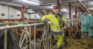 Passe stor: Då John Almeland bestemde seg for å bygge om til robot, valde han å utvide eksisterande fjøs og ikkje bli større enn at han kan halde fram med konsentrert kalving og sende kyrne til fellesbeite på stølen om sommaren.