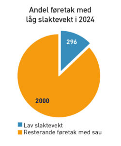 Låg slaktevekt: Tal føretak med gjennomsnitt lammeslaktevekt på 70 prosent eller lågare, av landssnittet. I 2024 var dette 12,18 kg.
