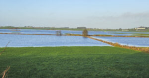 Vått før frosten: Desemberflaumen i Rogaland sette store areal under vatn. Her frå Torland i Hå 18. desember. Foto: Thea Hjertuslot.