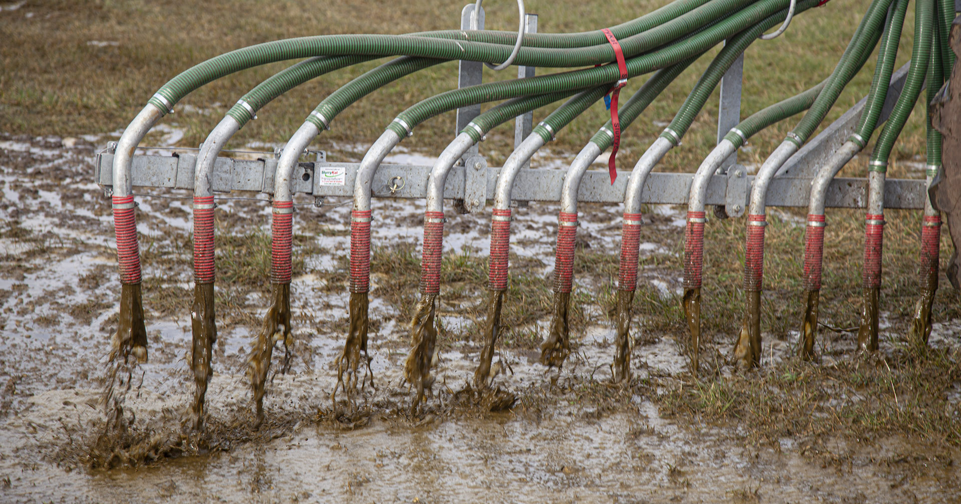 Strengare: Meir dokumentasjon og strengare fosforgrenser endrar kvardagen for husdyrprodusentane. Foto: Thea Hjertuslot.