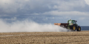 Foto: Thea Hjertuslot