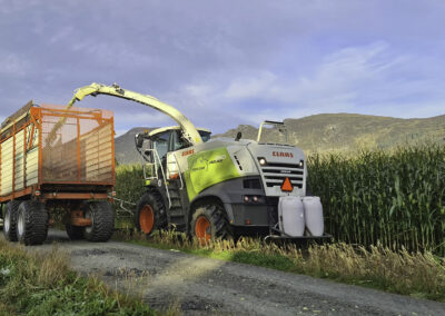 Fôrmais i Bjerkreim? Ja, visst!