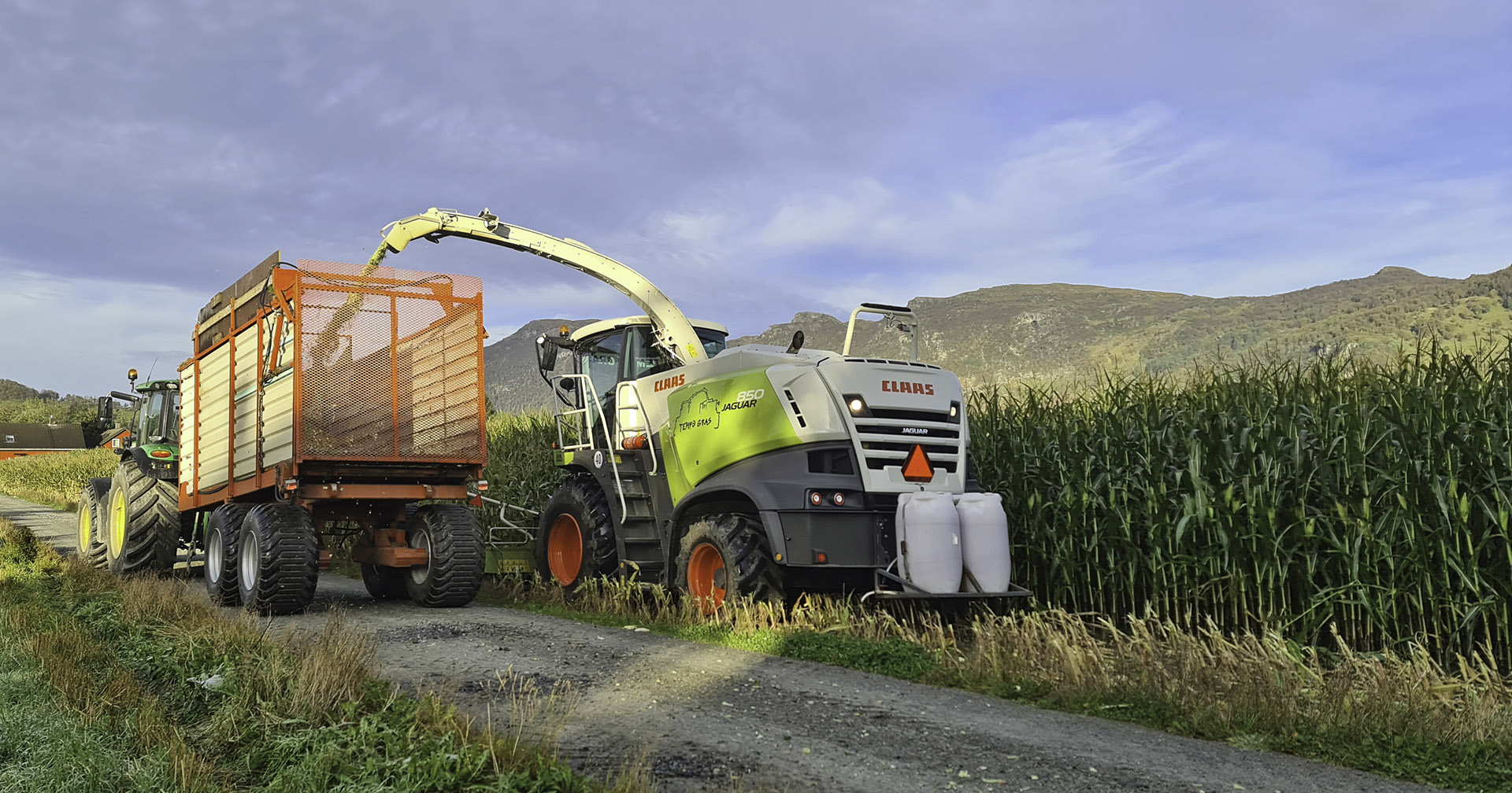 Fôrmais i Bjerkreim? Ja, visst!