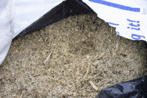 Snadder i plastpølsa: Den smaklege maisensilasjen til Erlend Folkvord er eurobag-pakka i ei lang plastpølse. Hausting og pakking var unnagjort på to timar.