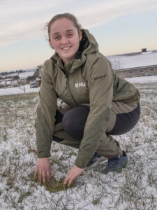 Vinterdvale: Ingen fare på ferde for enga så langt, konstaterer grovfôrrådgivar Hanne Gjersdal Østebø hjå NLR på Særheim. Graset er i dvale og eit lite snødryss gir litt isolasjon når kulda bit.