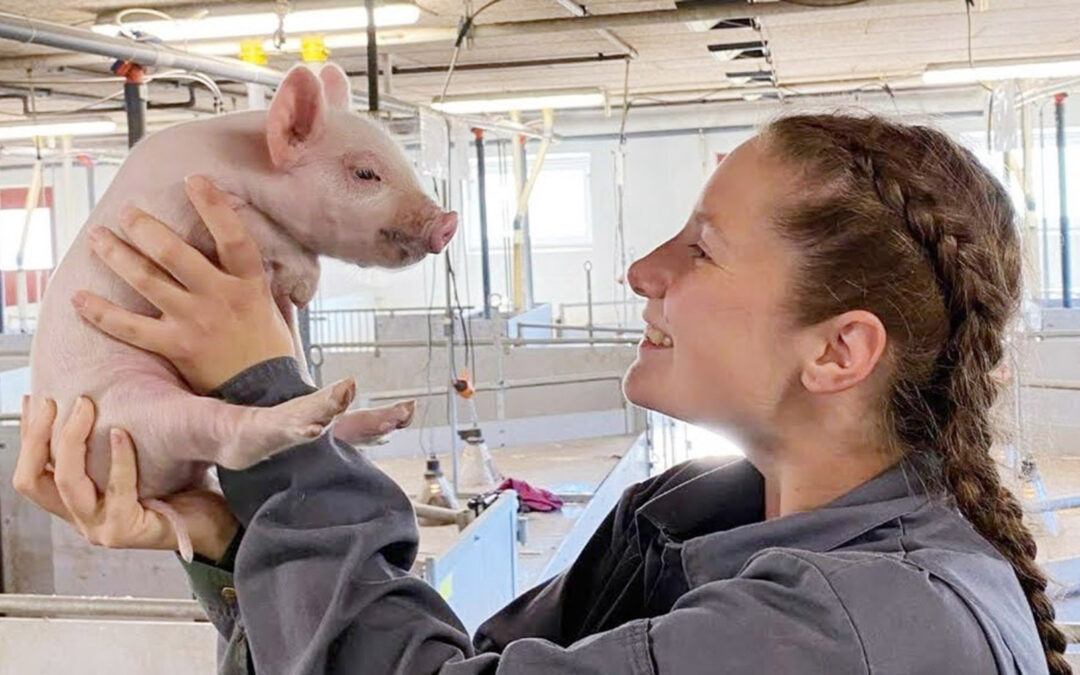 Pengar å spare på god helse