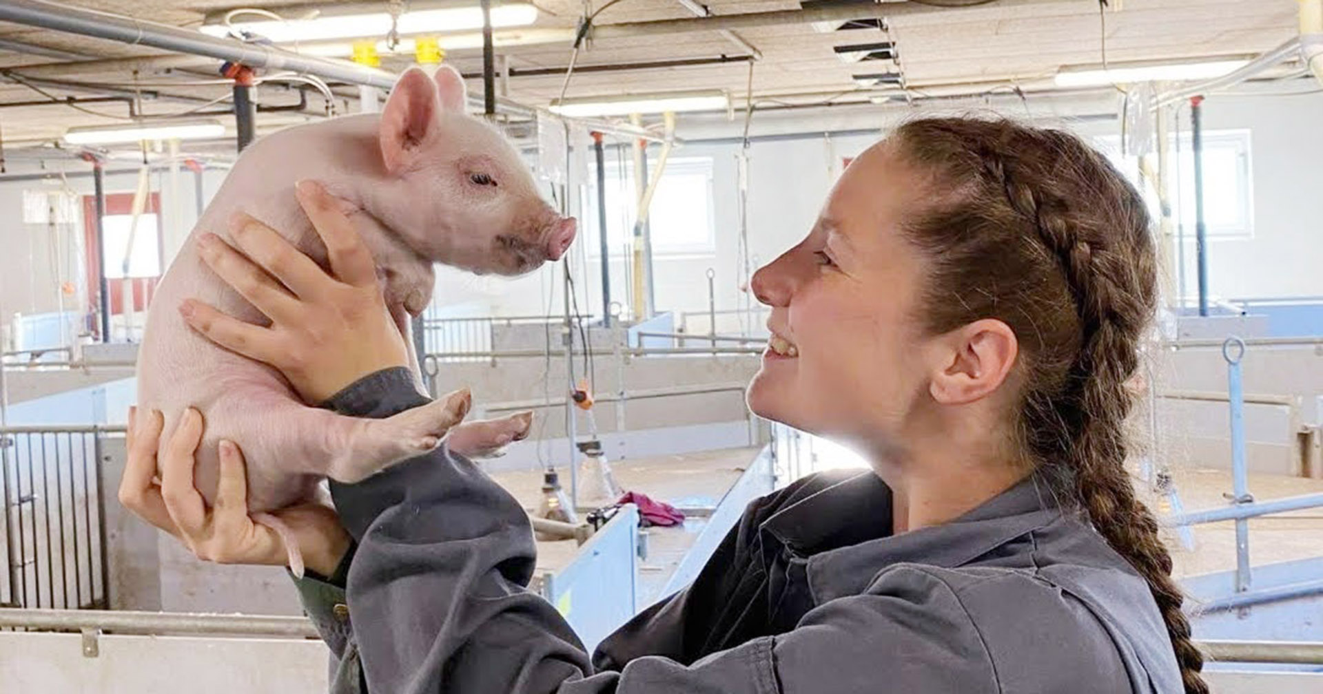 Frisk gris og glad bonde: I masteroppgåva si fann Ragna Steinveg Ulvin at det lønner seg å legge om til SPF. Foto: Privat.