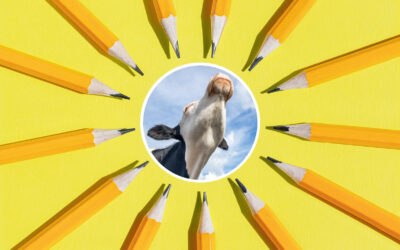 Landbruksfagleg person med skrivelyst og formidlingsevne