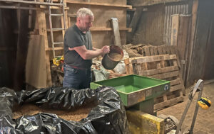 Alternativ B: Etter muse-/rottefri lagring av tørt (15-20 % vann) og helt korn i lufttett plastsekk, finmaler feltvert Lars Kristian Grude kornet i kvern rett før utfôring. Foto: Arne Vagle