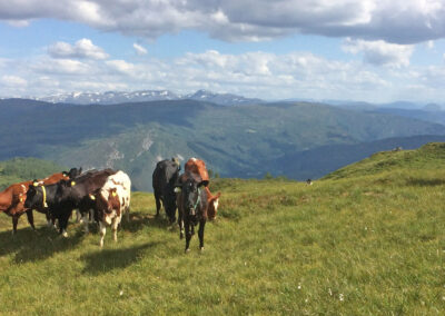 Ein time av minnet vekke