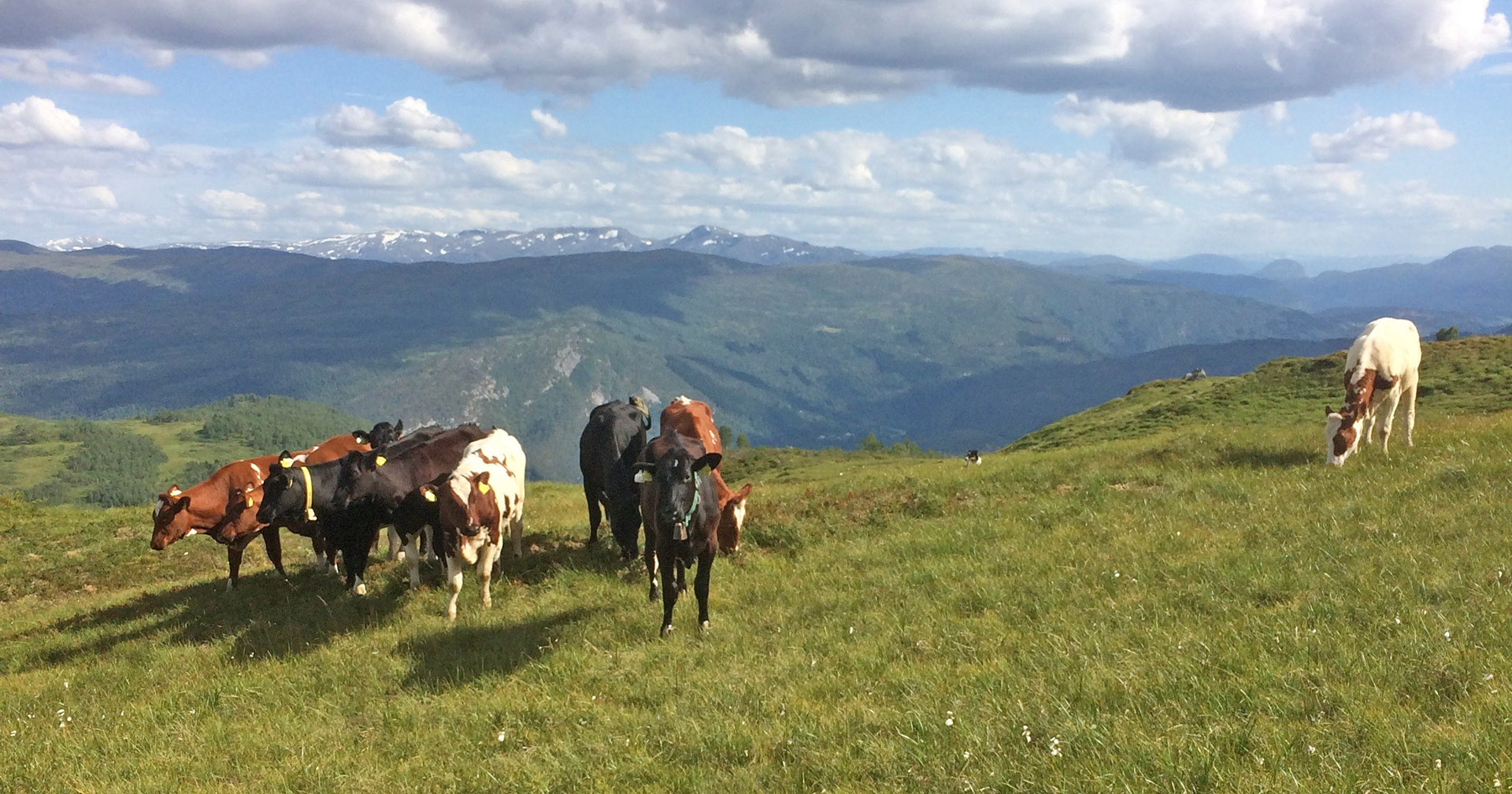 Ein time av minnet vekke