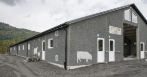 Fleire slike: Halvparten av mjølkeprodusentane i Agder driv ennå i lausdrift, men fleire lausdriftsfjøs er under både bygging og planlegging.