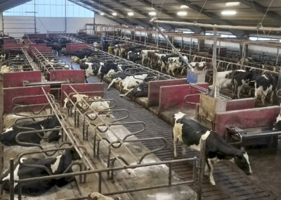 Det er ikkje fjøset det kjem an på