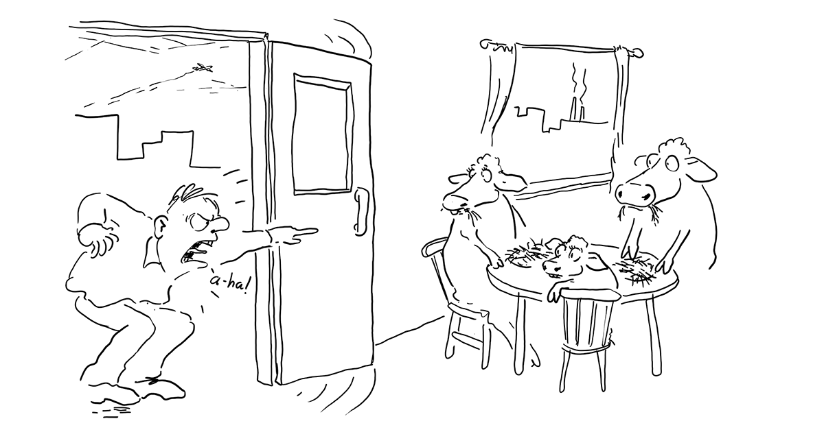 Rydd opp i målkonfliktane