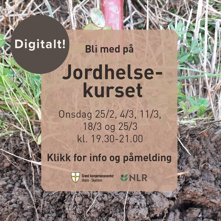 Jordhelsekurset