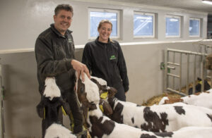 Startar med kalven: For Laila og Oddbjørn er oppstalling og fôring av kalvane ei investering både av tid og pengar.