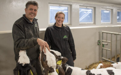 Optimistar trass alt