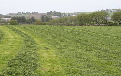Beheld husdyrgjødsla på garden med balansegjødsling