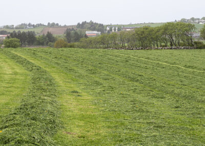 Beheld husdyrgjødsla på garden med balansegjødsling