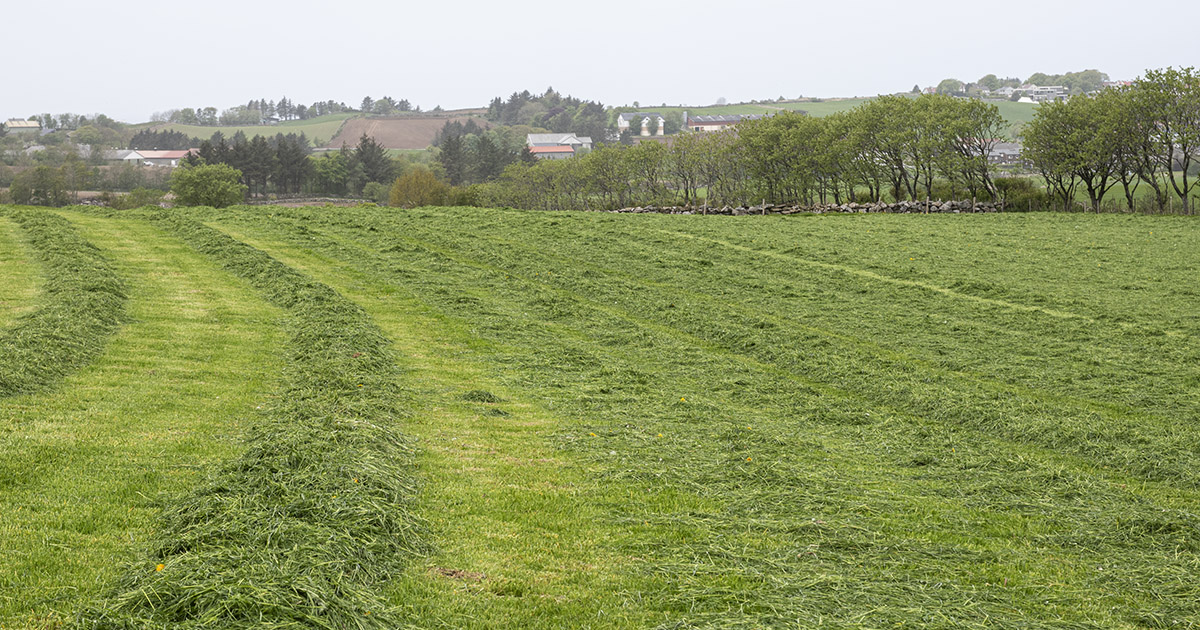 Beheld husdyrgjødsla på garden med balansegjødsling