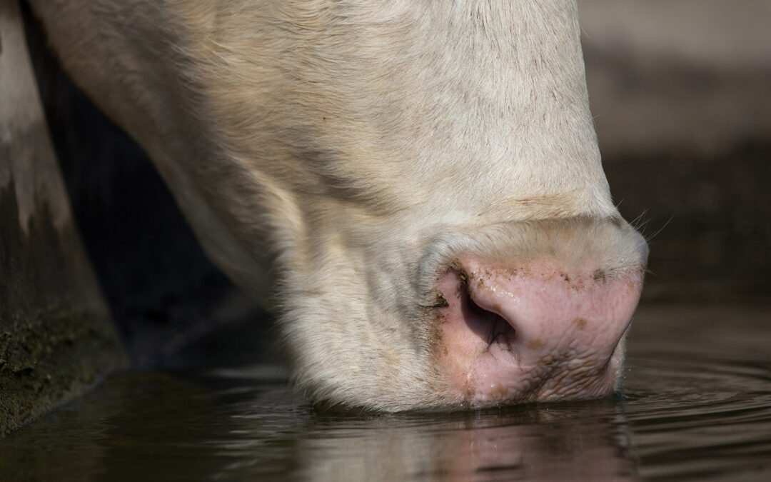 – Sårbare på vatn og straum