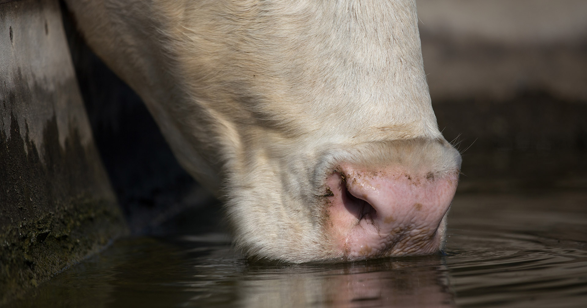 – Sårbare på vatn og straum
