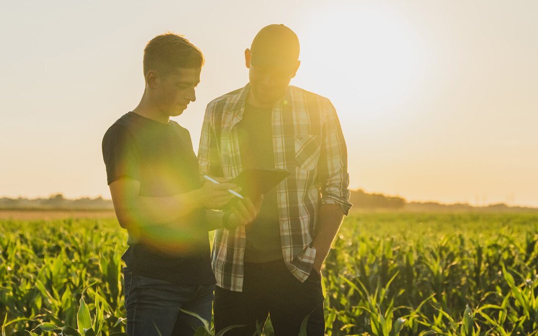 – Det er mogleg å tene pengar, òg i landbruket