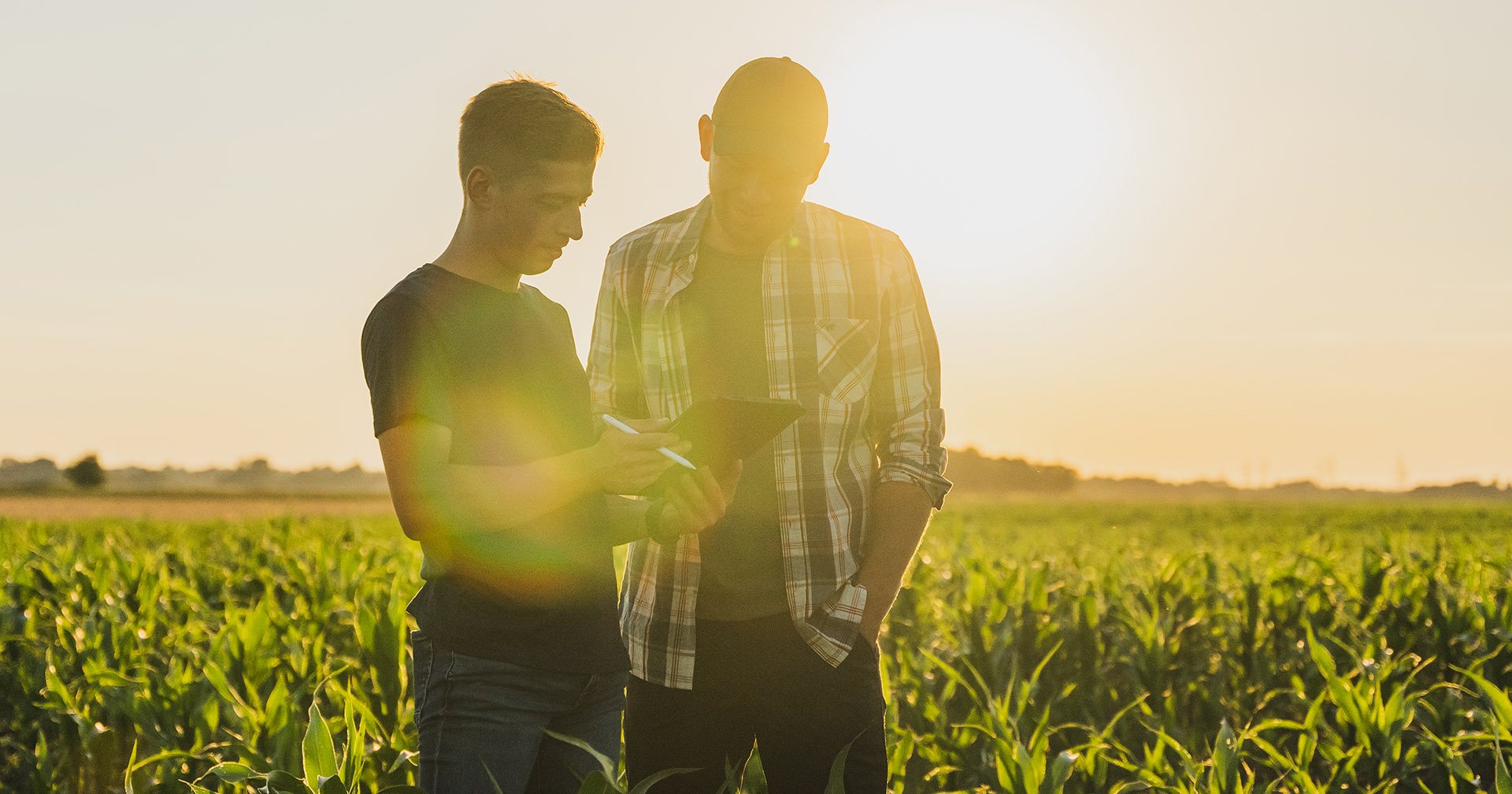 – Det er mogleg å tene pengar, òg i landbruket