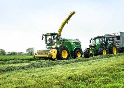 Startnitrogen kan gi ekstra grovfôr