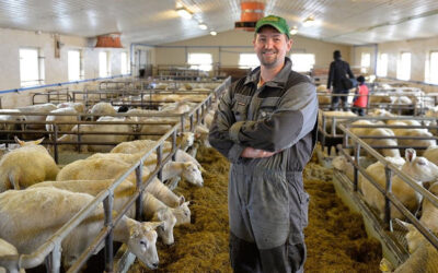 Lovar tydeleg leiarskap