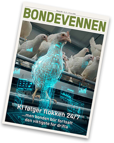 BV nr 5 – 13. mars 2026