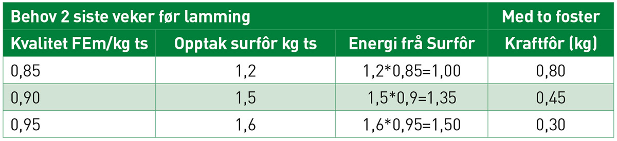 Tabell 4: Ulik grovfôrkvalitet kontra behov for kraftfôr siste to veker før lamming.