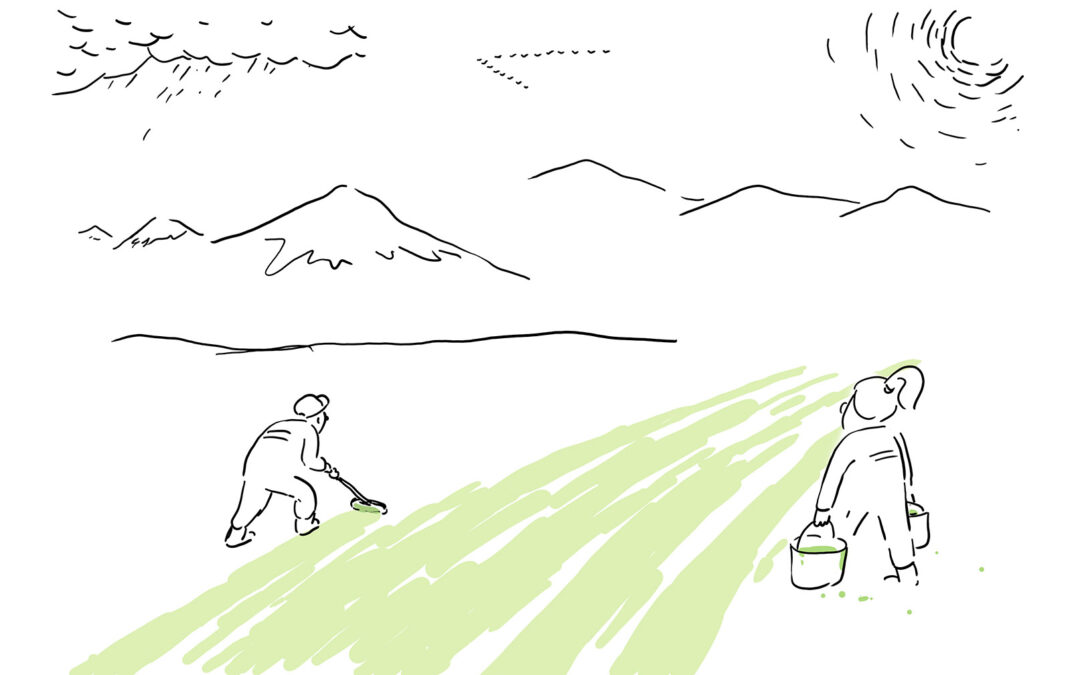 Lag ein grøn slagplan