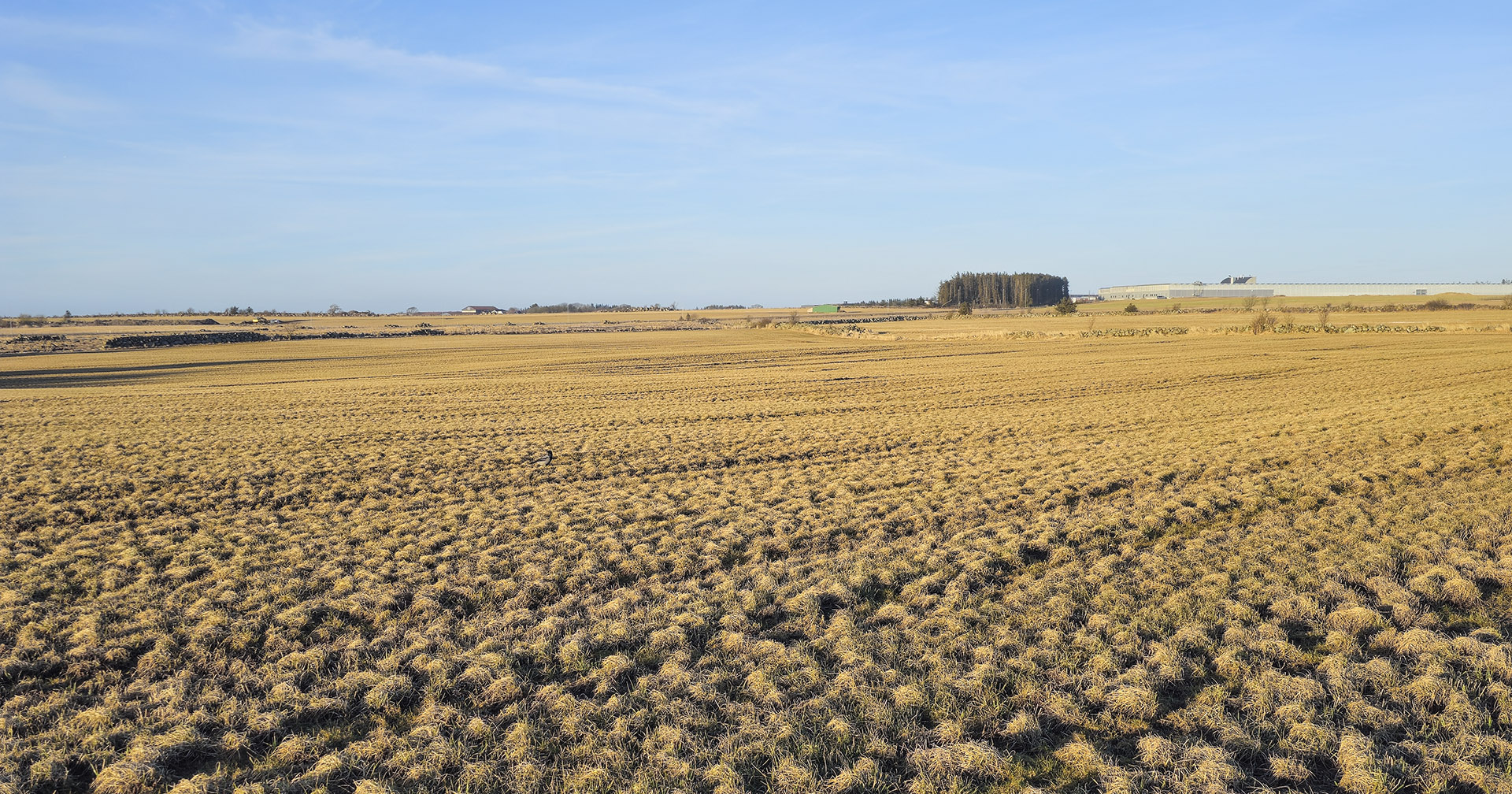 Så i eller pløya enga?