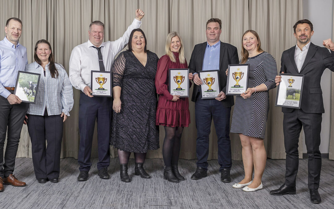 Premiedryss til topp holsteinkyr