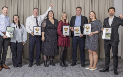 Premiedryss til topp holsteinkyr