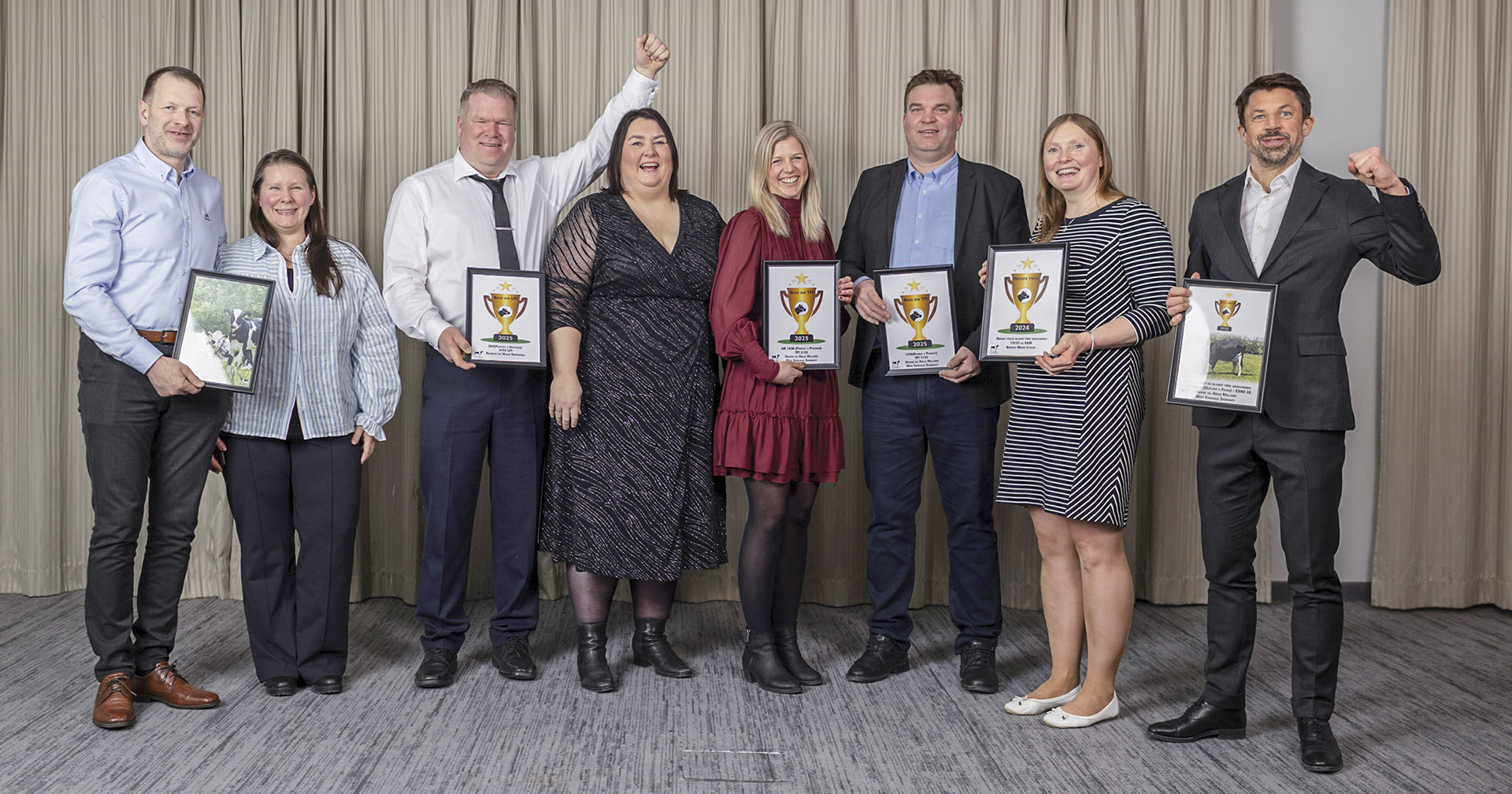 Premiedryss til topp holsteinkyr