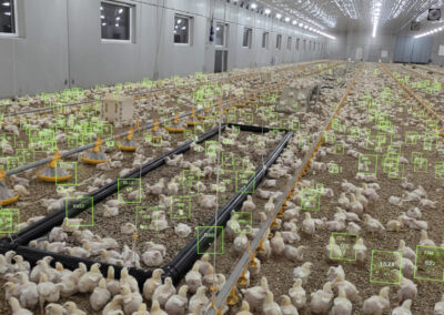 Kunstig intelligens i fjørfeproduksjon