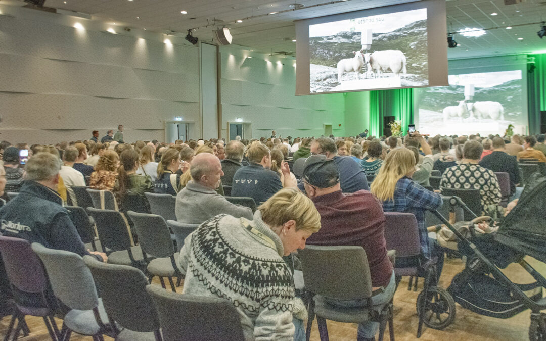 Sprengfullt på Lammekongress