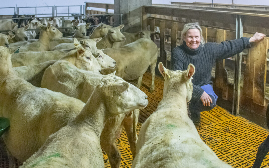 Bli klar til lemming