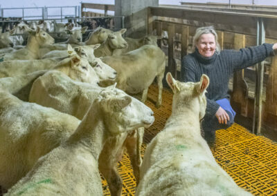 Bli klar til lemming