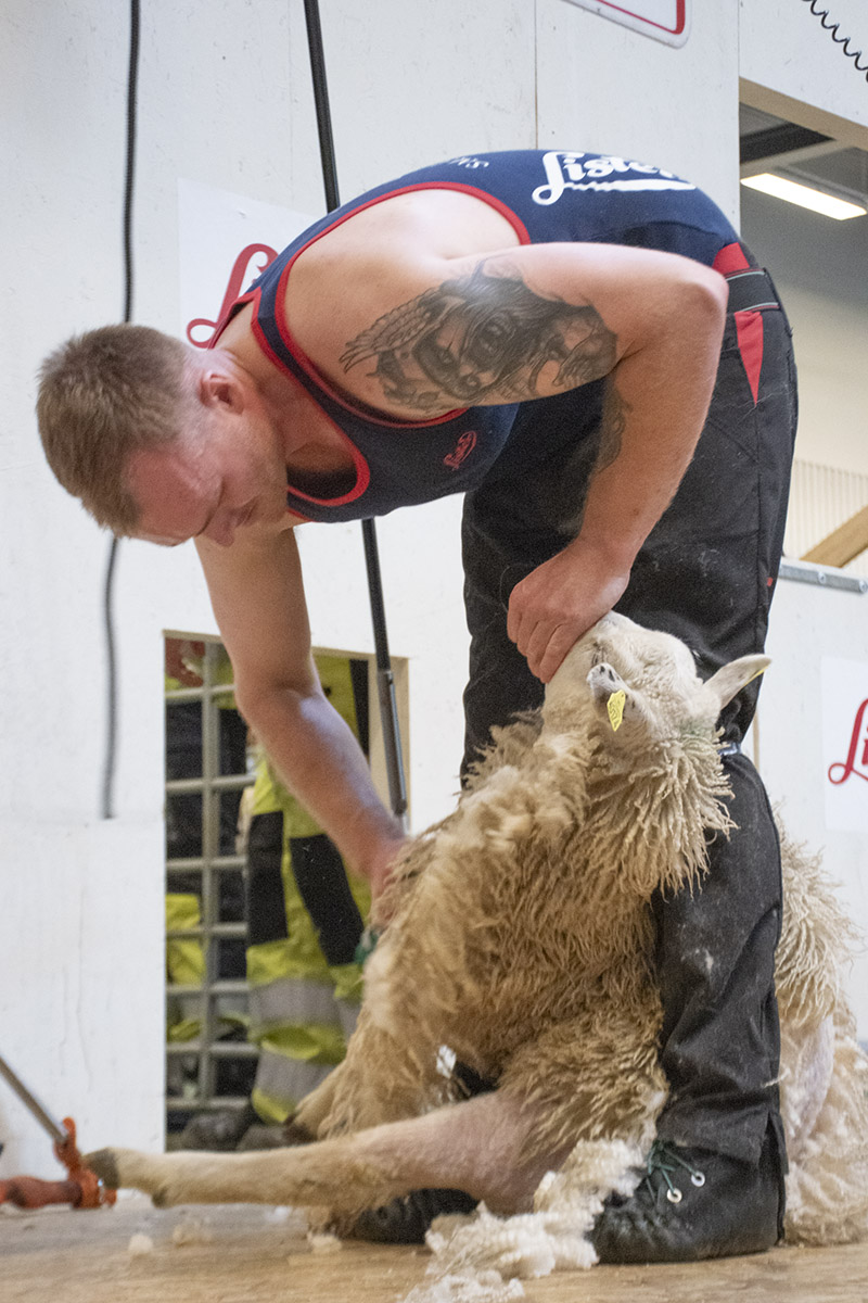 Odd Kristian Håland