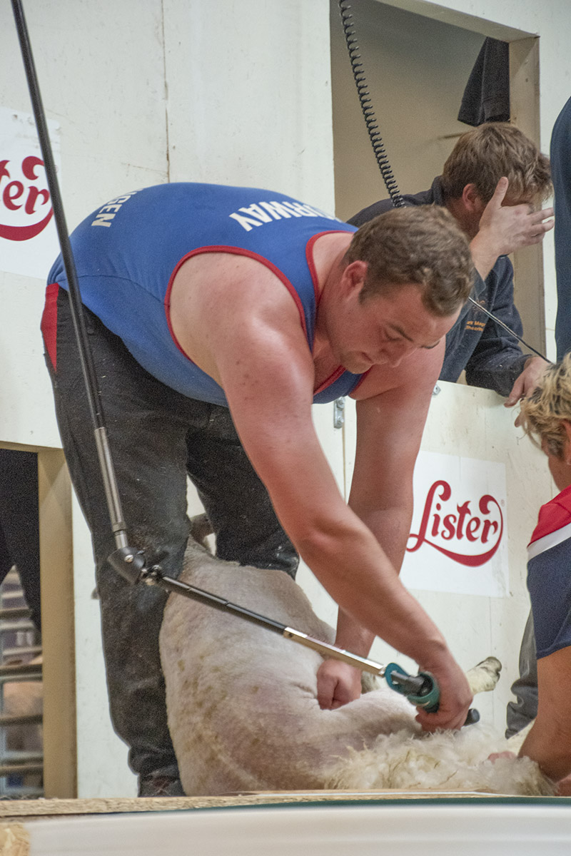 Lars Sønstevoldhaugen