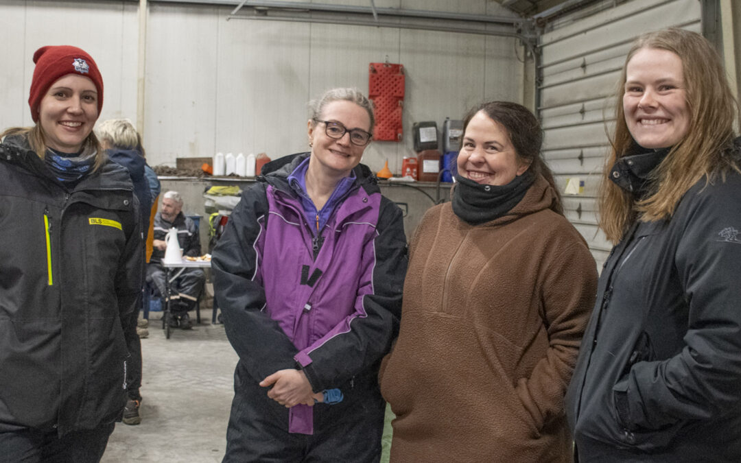 På god fot med sauen