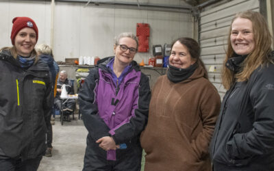 På god fot med sauen