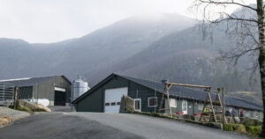 Ravndal Nord: Det ligg fire gardsbruk på Ravndal – inst av dei litt garden til Therese og Anders. Her er sauefjøset til høgre og ammekufjøset øvst i bakken.