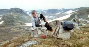 Tidleg hekta: Bilete er frå Sven sin første tur til heis med sauene. Ni år gammal og hekta på heialivet. Foto: Privat.