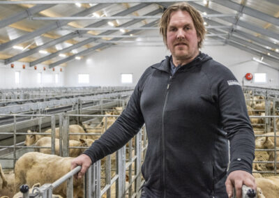 Alt klart for lemming i nytt hus